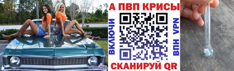 как найти закладки  Сунжа  Alpha PVP СК 