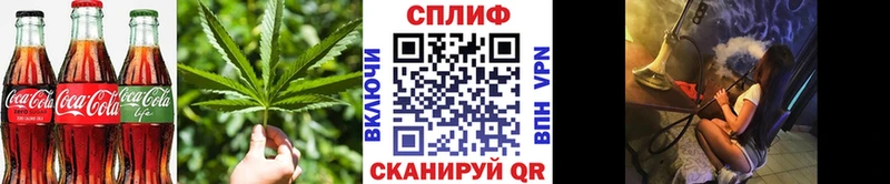 наркотики  Сунжа  Canna-Cookies конопля 