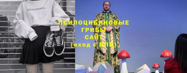 PSILOCYBIN Магадан