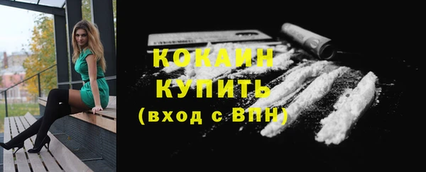 apvp Магас