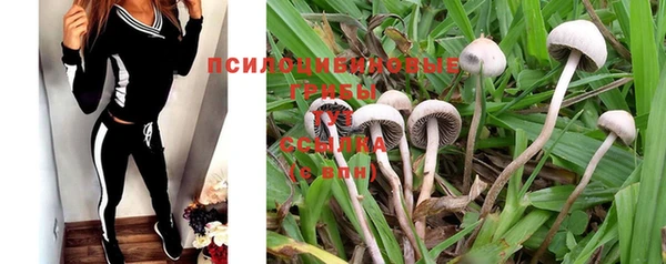 PSILOCYBIN Магадан