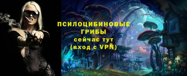 PSILOCYBIN Магадан