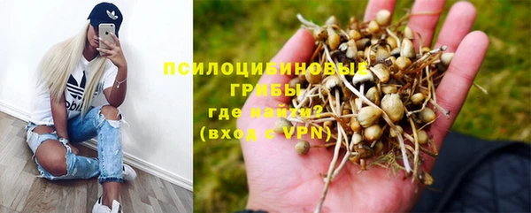 apvp Магас