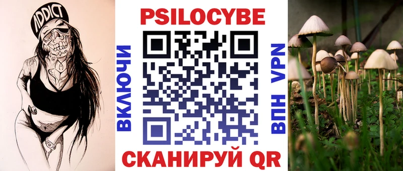 купить закладку  Сунжа  Псилоцибиновые грибы Magic Shrooms 