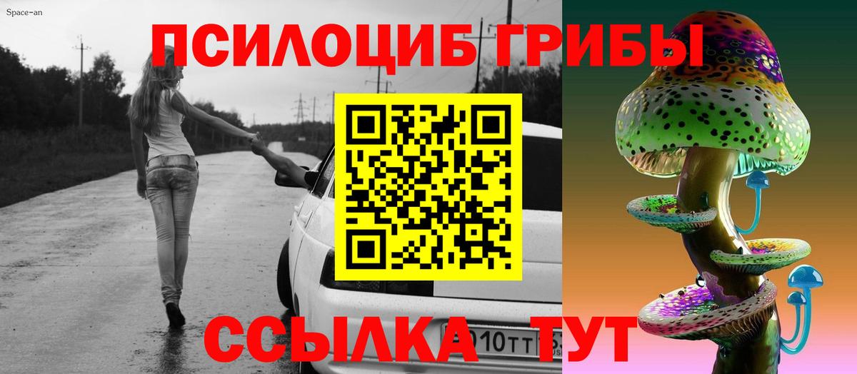Сунжа  Галлюциногенные грибы мицелий  где продают   Псилоцибиновые грибы ЛСД  Вход с VPN 